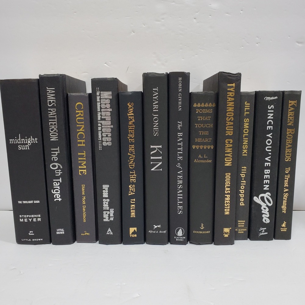 Shelf Staging Library Modern Decorative Black Silver Hardcover Books Set Lot 12